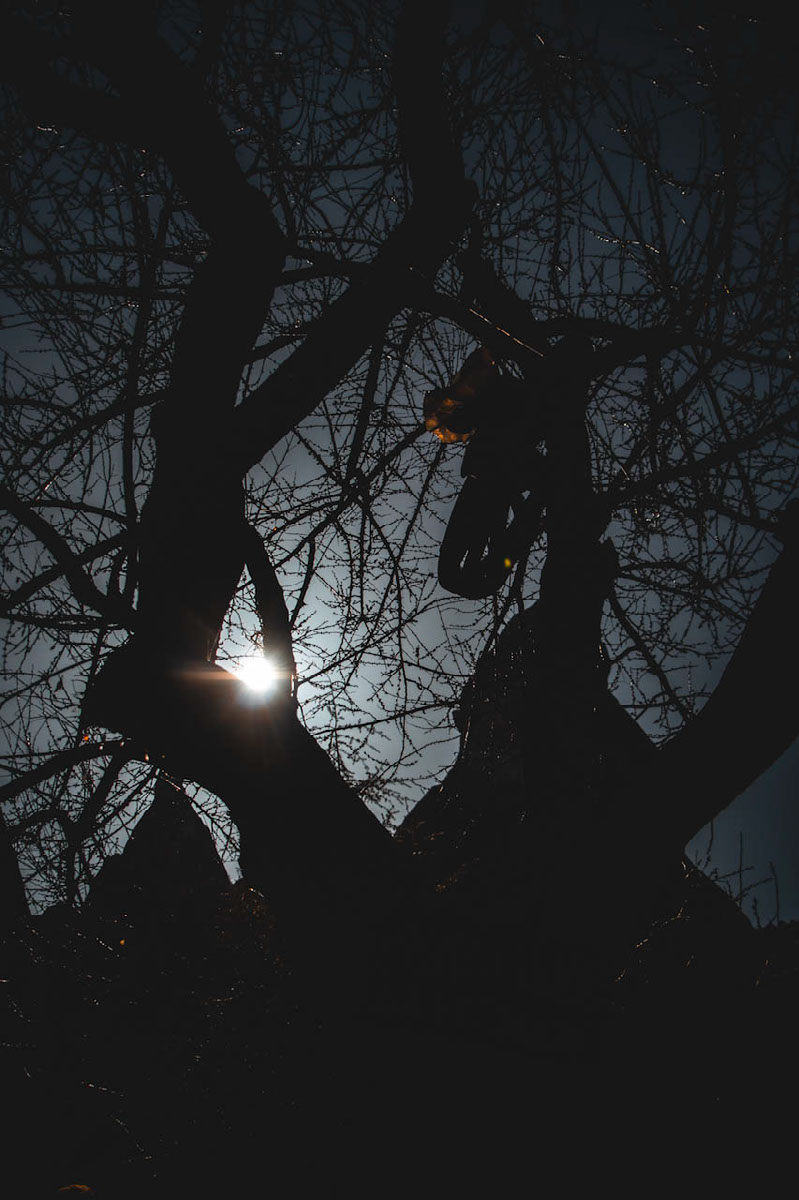 sunset | Edit | Photoshop Lightroom
