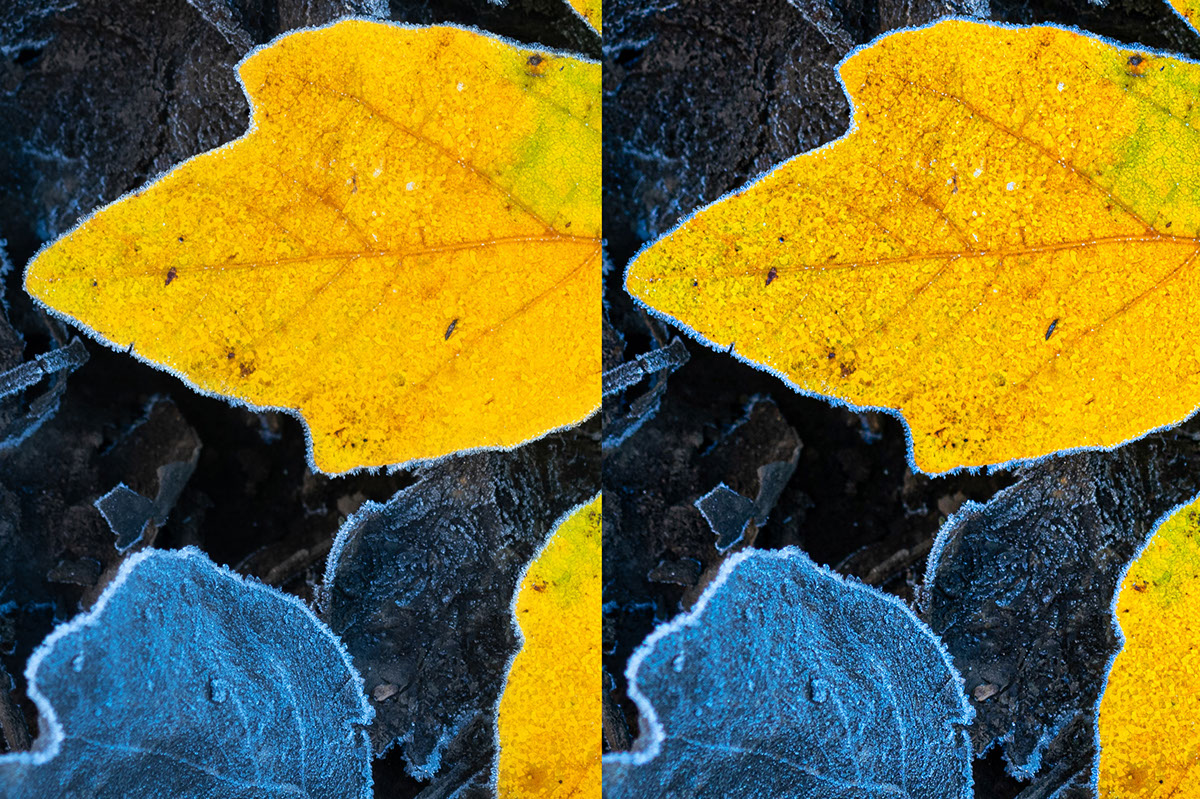 Texture Tutorial Lightroom