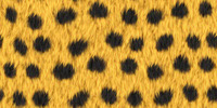 05-Fur-Background-Texture