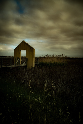 Improve your photography skills | Adobe Lightroom