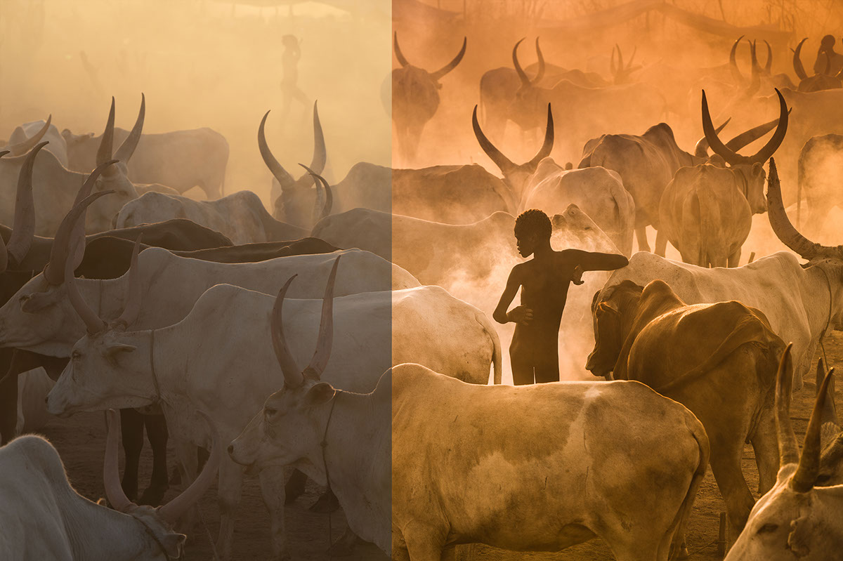 Use Masking to Create a Dramatic Image