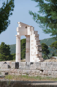 Epidarius 8
