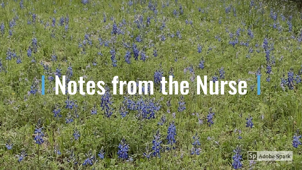 Notes From The Nurse