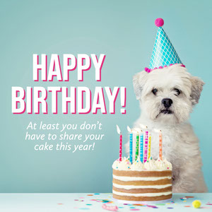Free Covid Birthday Memes Maker Adobe Spark Check out this list of birthday quarantine memes. free covid birthday memes maker adobe