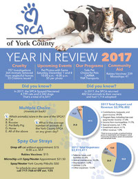 SPCA_YearinReview