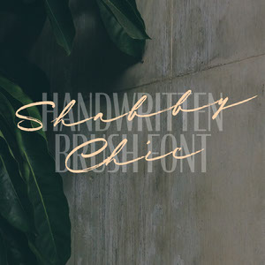 Download Free 32 Cool Calligraphy Script Fonts Adobe Spark Free SVG Cut Files.