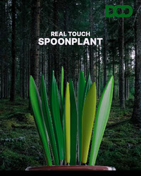 Spoonplant poster