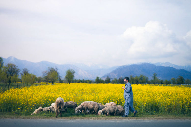 Improve your photography skills | Adobe Lightroom