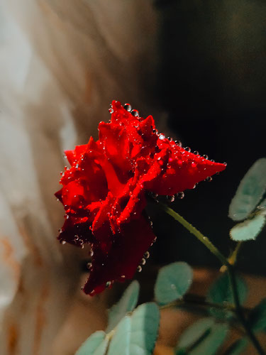 Improve your photography skills | Adobe Lightroom