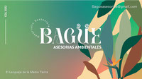 BAGUE-Asesorias Ambientales