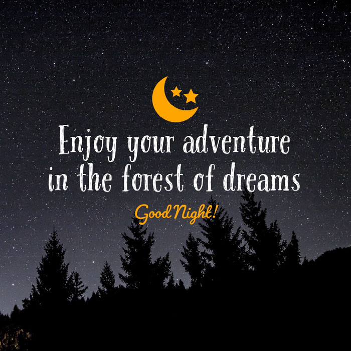 45 Good Night Messages Wishes And Quotes Adobe Spark Sweet dreams (are made of this) is a song by the british new wave music duo eurythmics. adobe spark