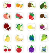 Different Fruits Vector