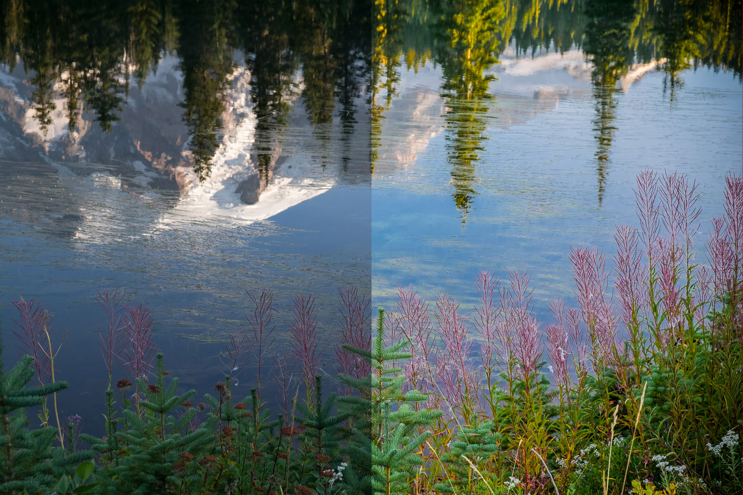 Intensifying Colors in Landscape Photography | Tutorial | Photoshop ...