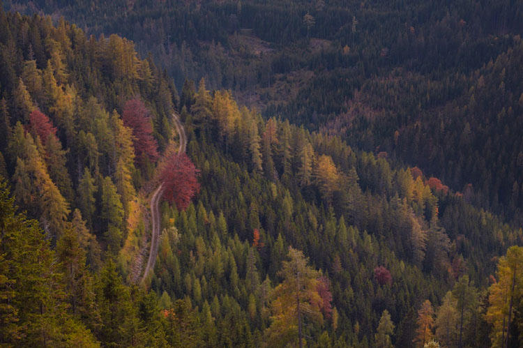 Improve your photography skills | Adobe Lightroom