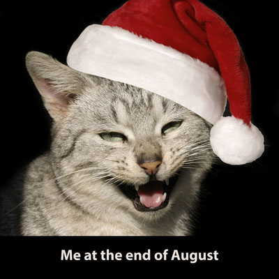 Free Meme Generator Make A Meme With Your Own Pictures Adobe Express