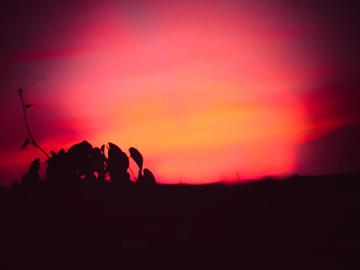 Beautiful Sunset | Edit | Photoshop Lightroom