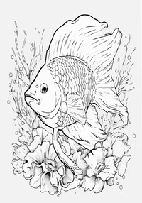 Fish and Flowers coloring Page
