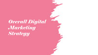 Lolita Brand overall Digital Marketing Strategy