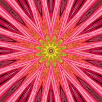 Flower Flash Kaleidoscope 4