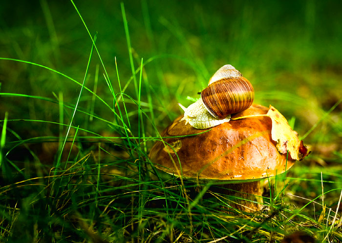 Improve your photography skills | Adobe Lightroom