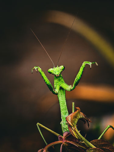 Improve your photography skills | Adobe Lightroom
