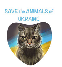 Ukrainian cat
