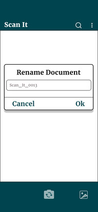 Renaming document