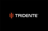 Tridente Combination Logo Preview