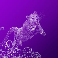 Leopard Leap Purple