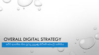 Overall Digital Marketing Strategy for Arana