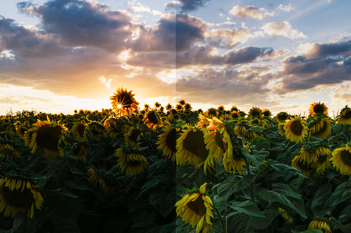 Linear gradient tutorial photoshop lightroom