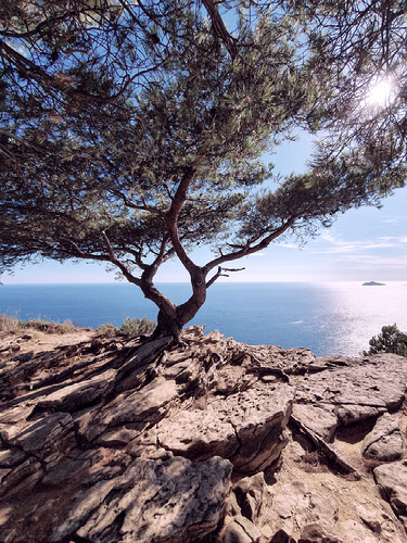 Improve your photography skills | Adobe Lightroom