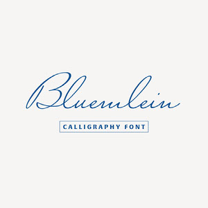 Download Free 32 Cool Calligraphy Script Fonts Adobe Spark Free SVG Cut Files.