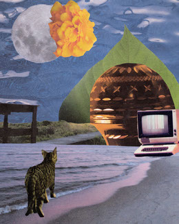 Collage Art For Social Media Posts Adobe Spark