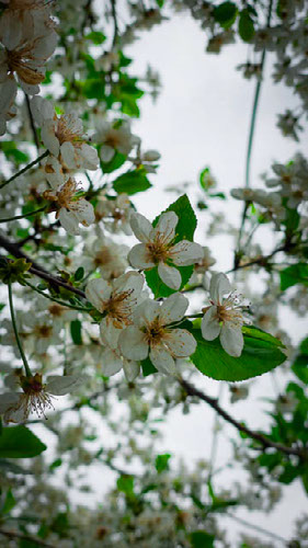 Improve your photography skills | Adobe Lightroom