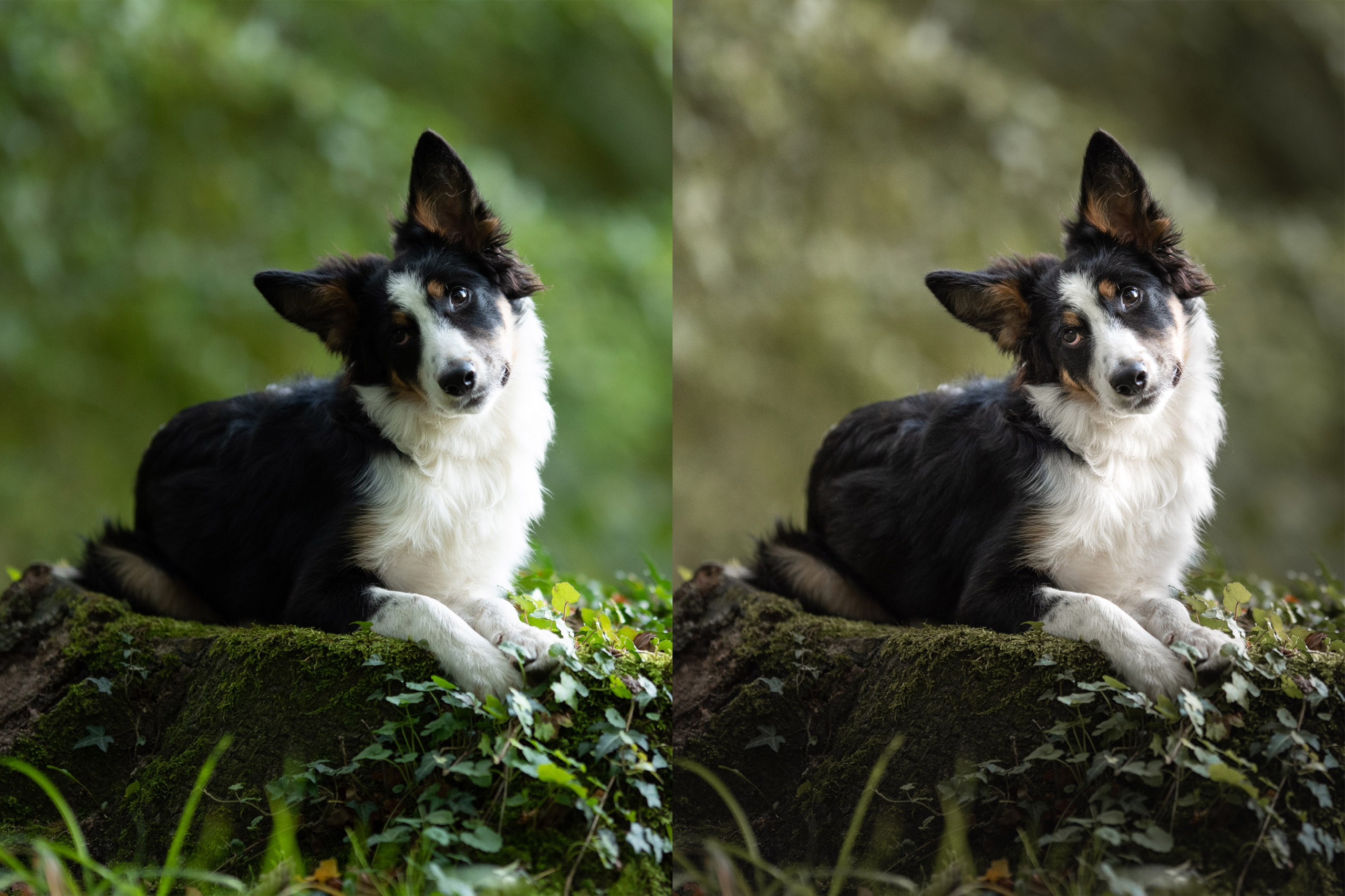 Reshaping Light with Masking | Tutorial | Adobe Lightroom