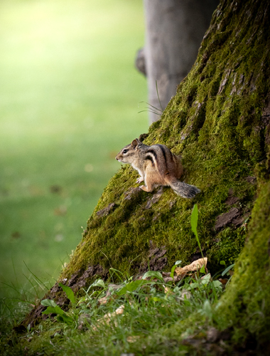 Improve your photography skills | Adobe Lightroom
