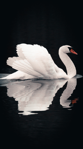Improve your photography skills | Adobe Lightroom