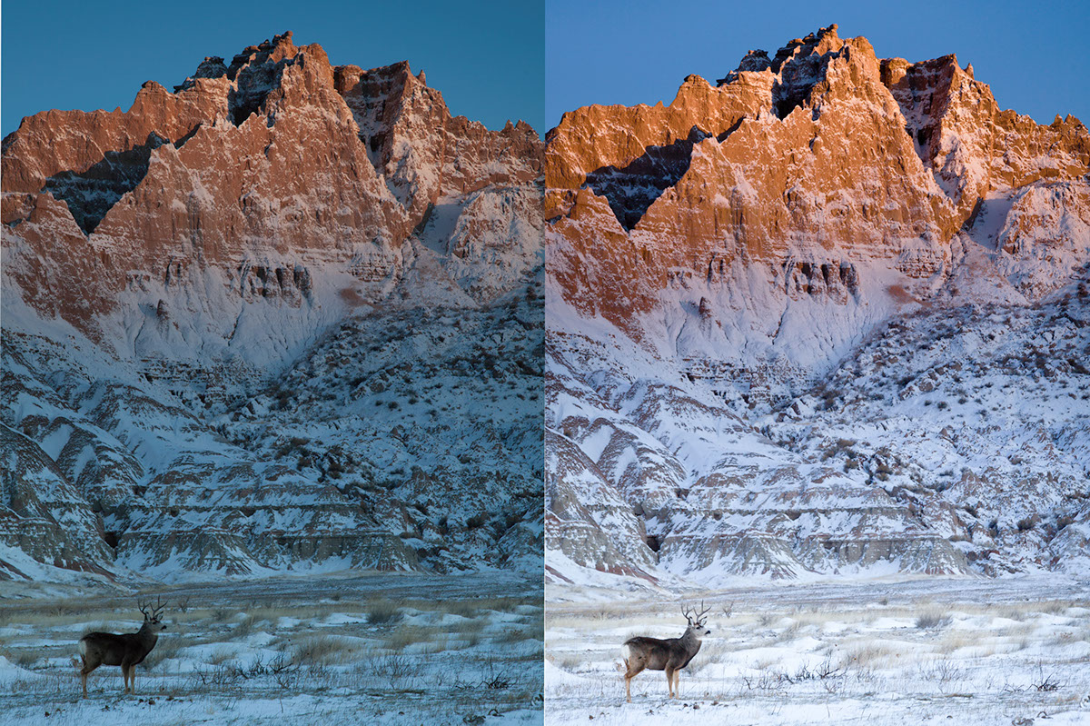 Wildlife in Epic Landscapes | Tutorial | Adobe Lightroom