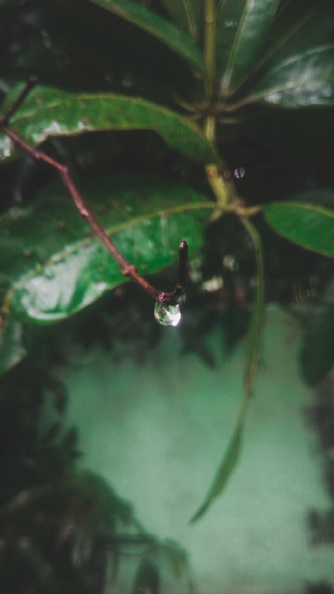 Water Droplet Edit Lightroom