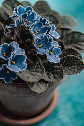 Improve your photography skills | Adobe Lightroom