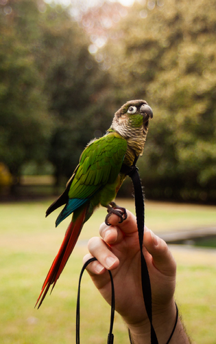 Improve your photography skills | Adobe Lightroom