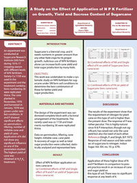 Research Poster Design