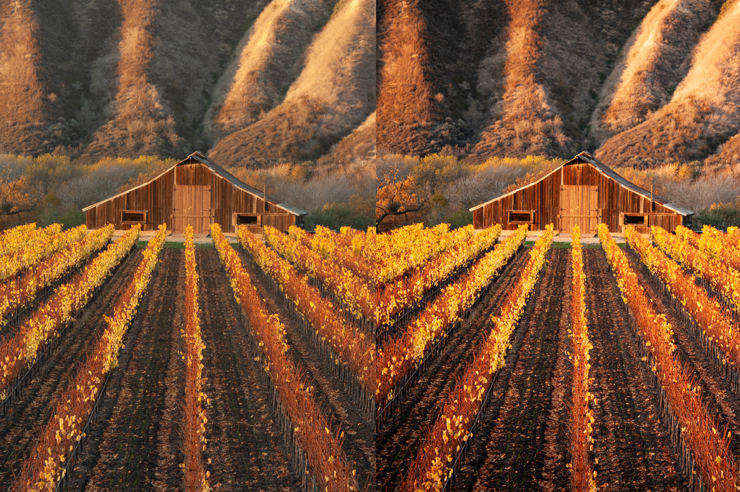 Create a Strong Focal Point | Tutorial | Adobe Lightroom