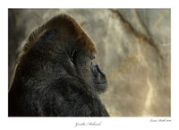 Gorilla Mohawk