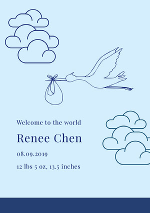 welcome to the world baby announcement