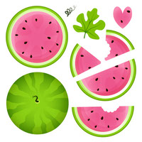 Set of different pieces of juicy watermelon
