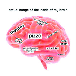 My Brain Meme