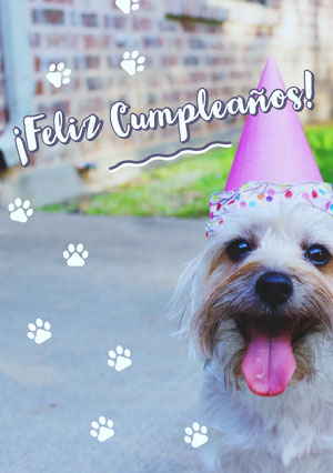 Frases de cumpleaños en cuarentena | Adobe Spark