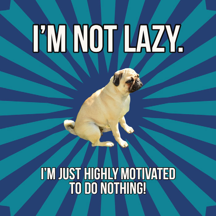 Create Your Own Dog Memes For Free Adobe Spark